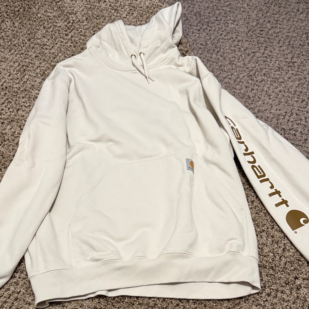 Carhartt Men's Loose Fit Midweight Hoodie